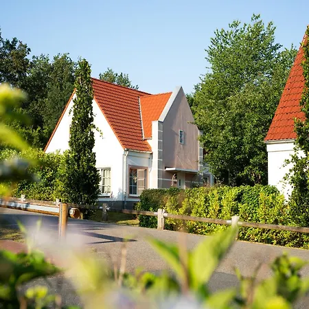 Restyled House With Sauna, Near